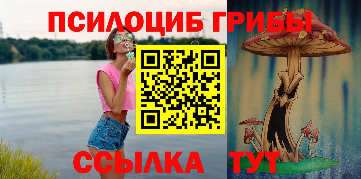Псилоцибиновые грибы мицелий Сергиев Посад