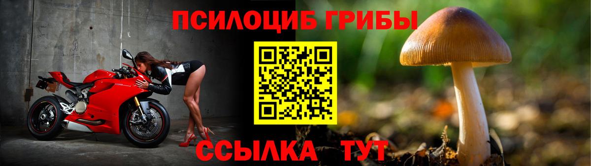 Псилоцибиновые грибы прущие грибы  Вход с VPN  цены   Сергиев Посад 